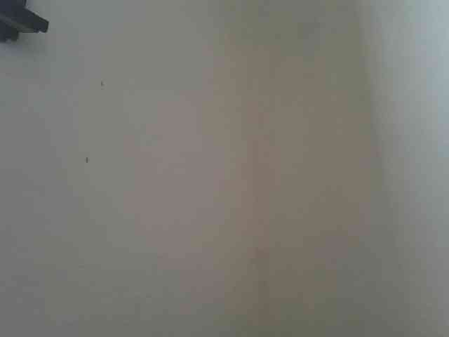 Estela webcam