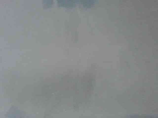 Estela webcam