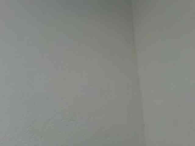 Estela webcam
