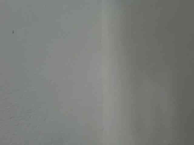 Estela webcam