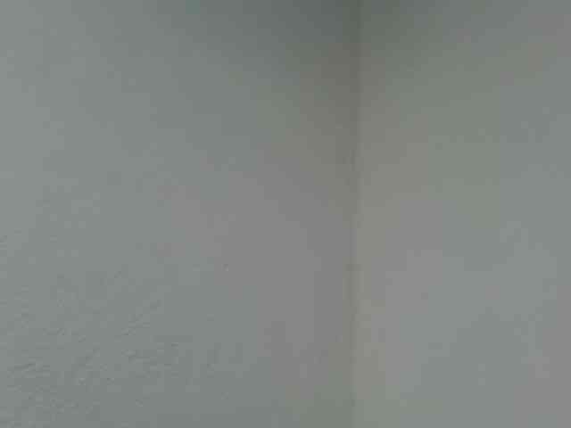 Estela webcam