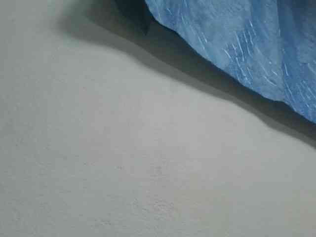 Estela webcam