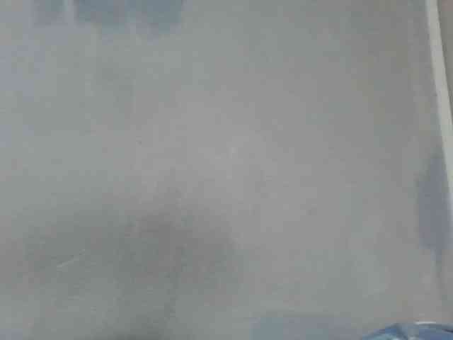 Estela webcam