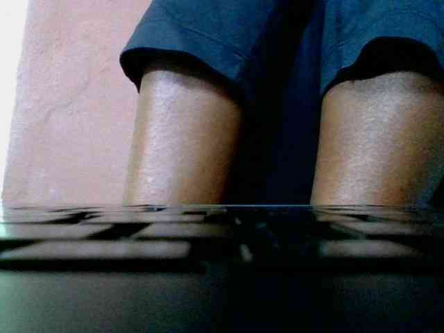 Estela webcam