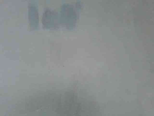 Estela webcam