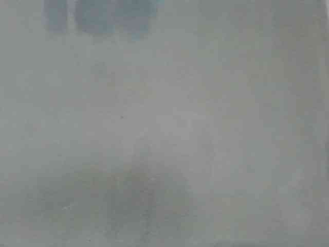 Estela webcam