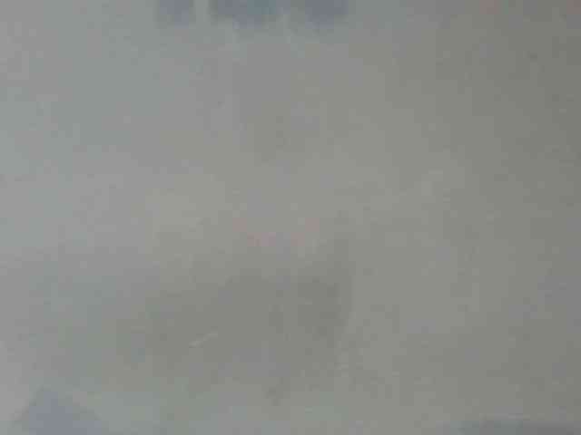 Estela webcam