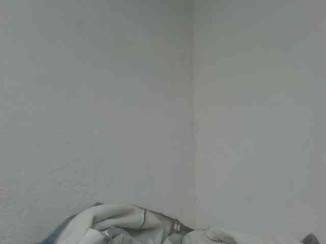Estela webcam