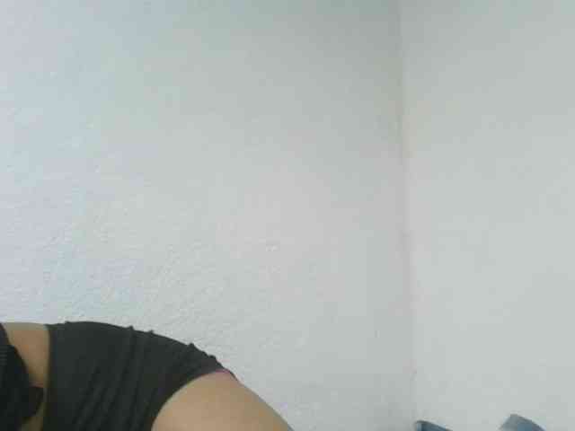 Estela webcam