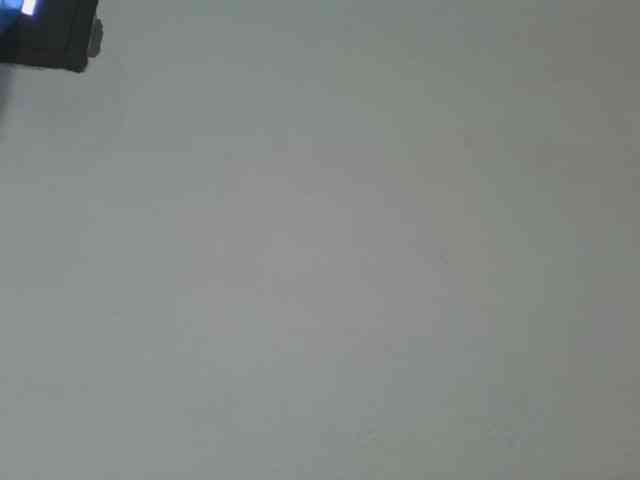 Estela webcam