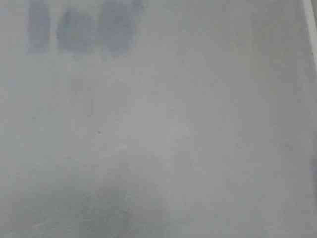 Estela webcam