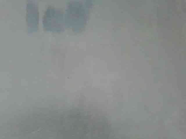 Estela webcam