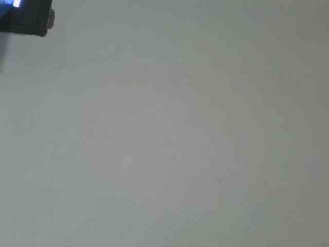 Estela webcam