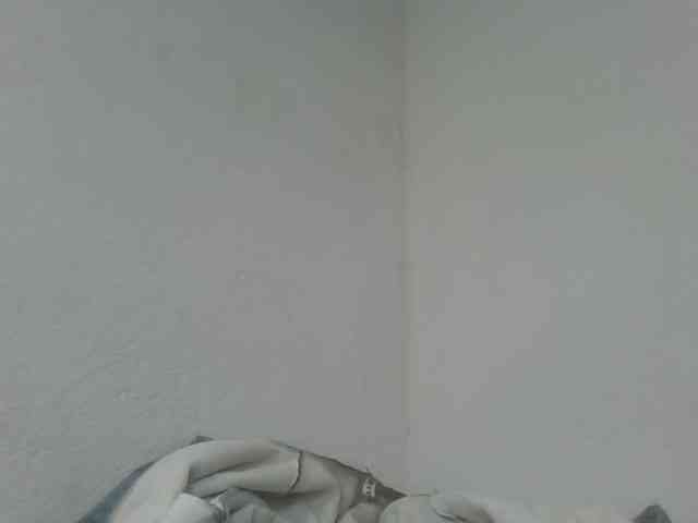 Estela webcam