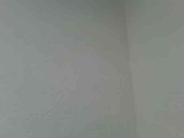Estela webcam