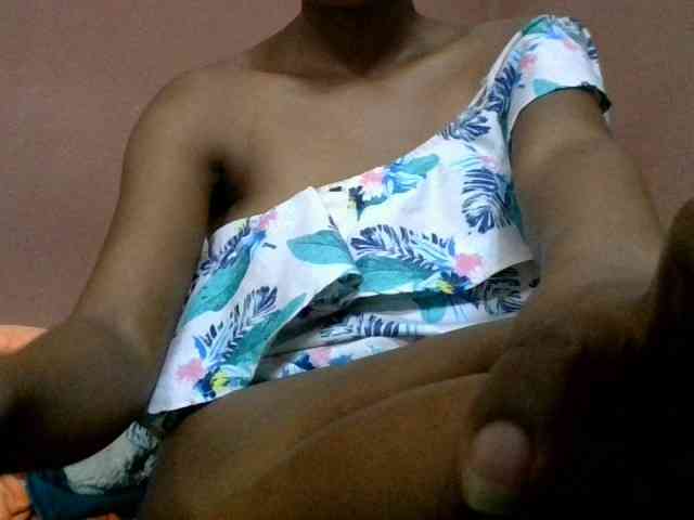 Estela webcam