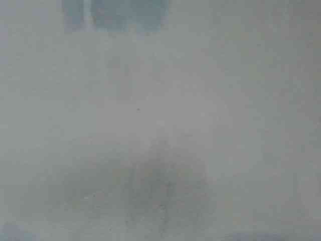 Estela webcam