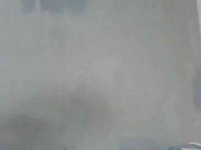 Estela webcam