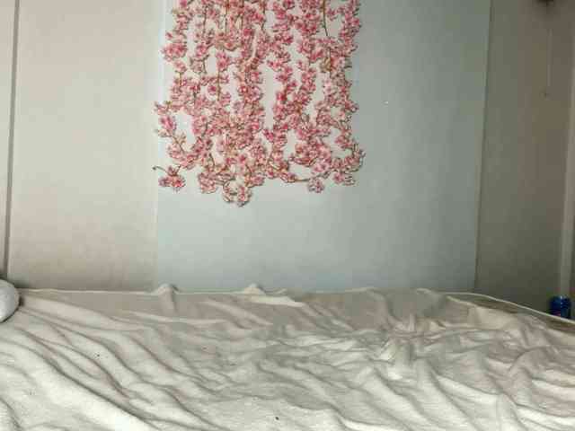 AmiPink webcam