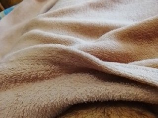 bulochka733 Porn Show