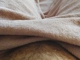 bulochka733 Porn Show