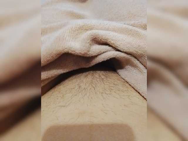 bulochka733 live cam on BongaCams