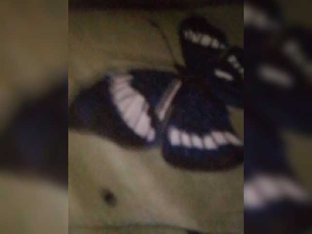 bulochka733
