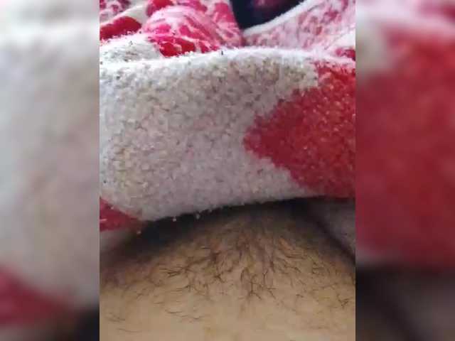 bulochka733