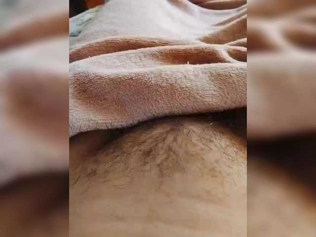 bulochka733