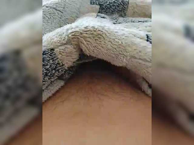 bulochka733