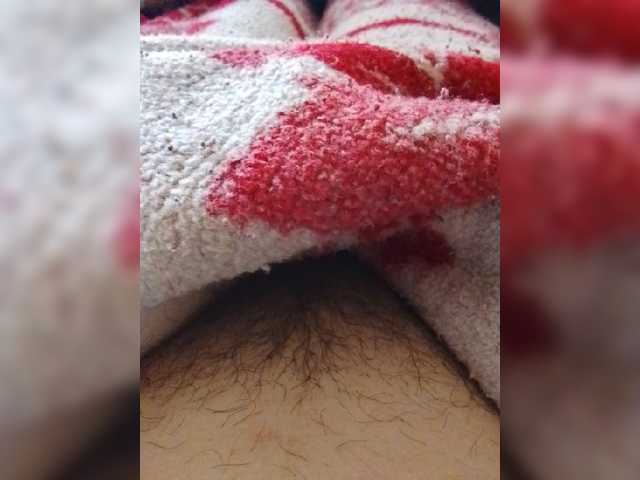 bulochka733
