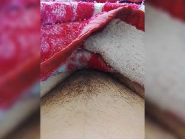 bulochka733 live cam on BongaCams