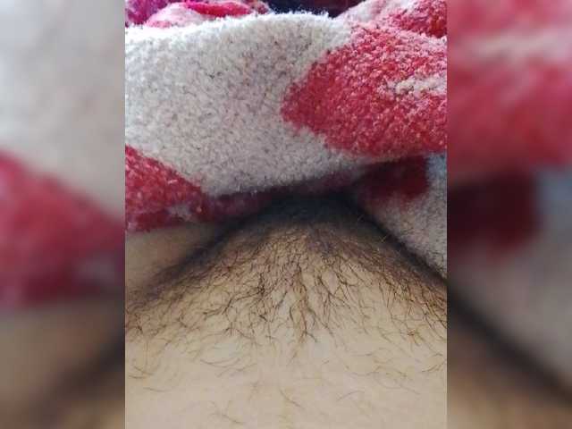 bulochka733