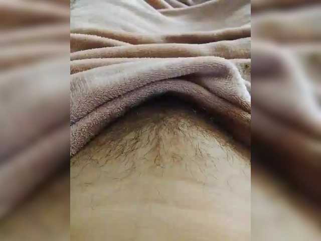 bulochka733 live cam on BongaCams