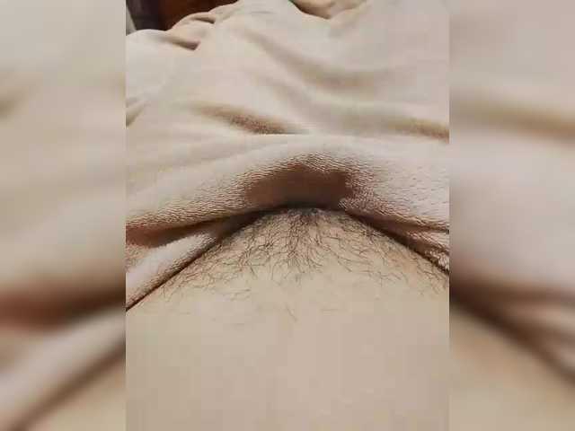bulochka733