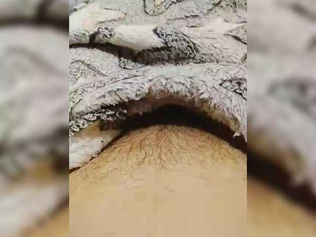 bulochka733