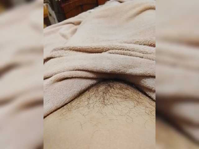 bulochka733
