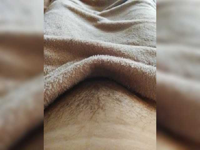 bulochka733