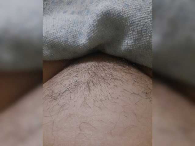 bulochka733