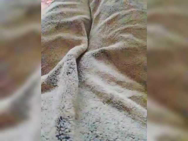 bulochka733 live cam