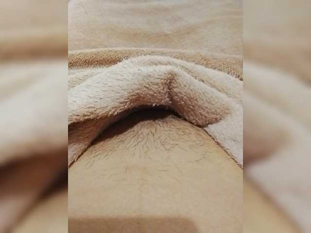 bulochka733