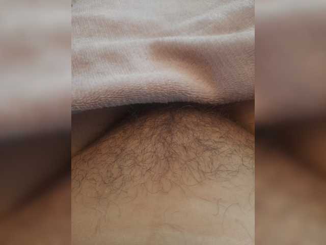 bulochka733