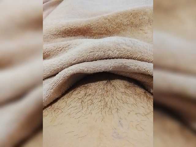 bulochka733 live cam