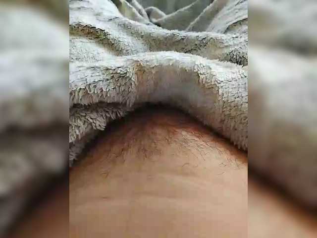 bulochka733