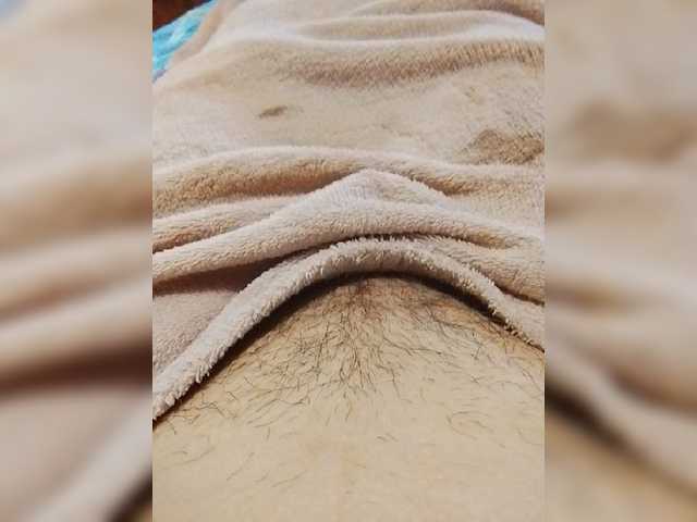 bulochka733 live cam on BongaCams