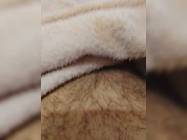bulochka733