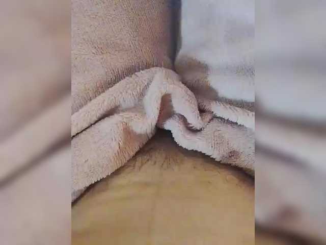 bulochka733 live cam on BongaCams