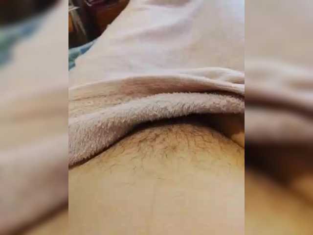 bulochka733