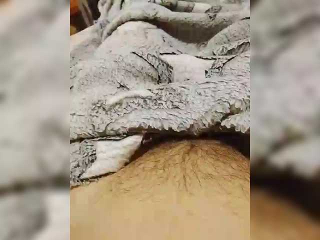 bulochka733 live cam on BongaCams