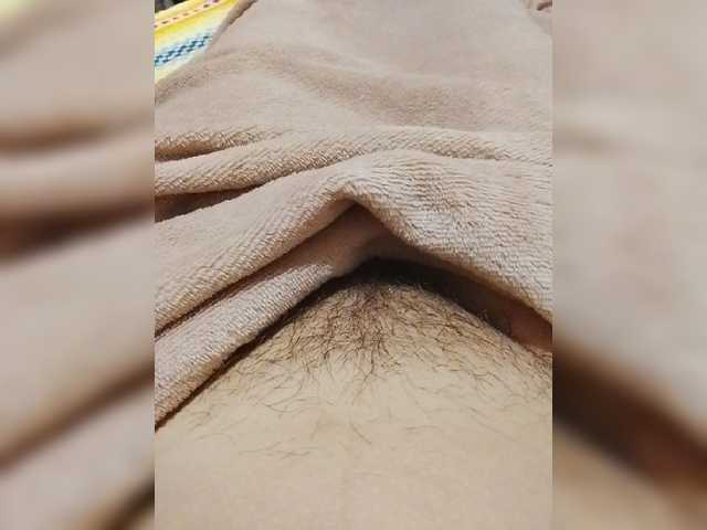bulochka733 live cam on BongaCams